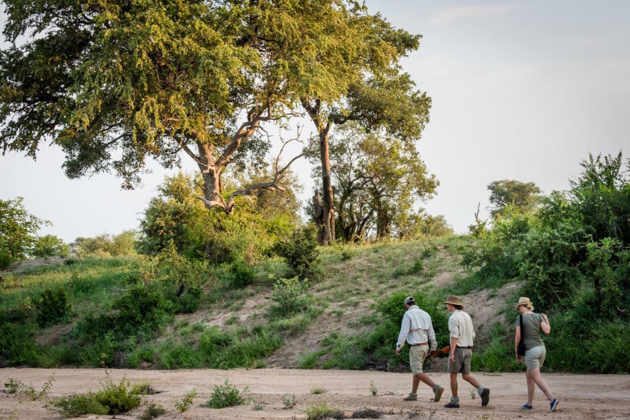 Klaserie Sands River Camp Klaserie Private Nature Reserve Luaran gambar